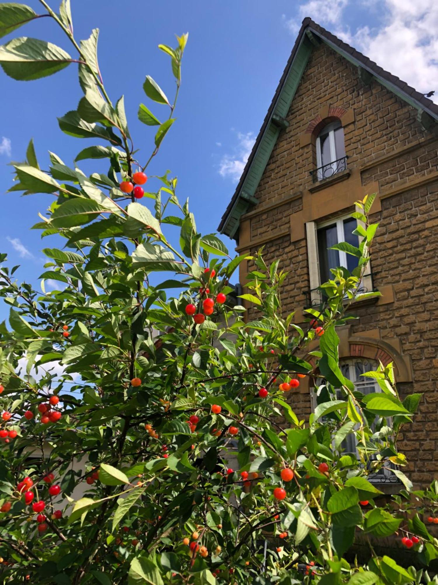 Villa Bonne Entente Donchery Exterior photo